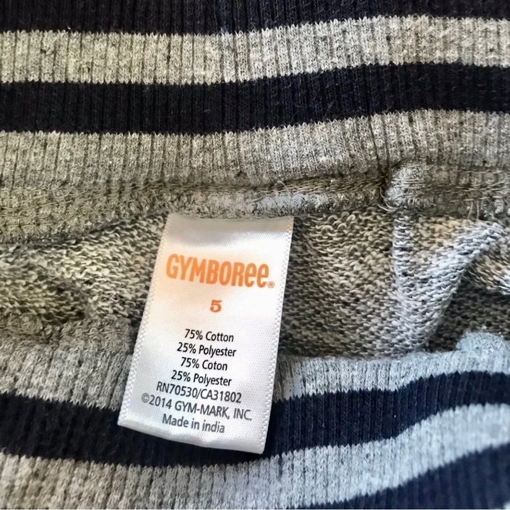 Gymboree Outfit